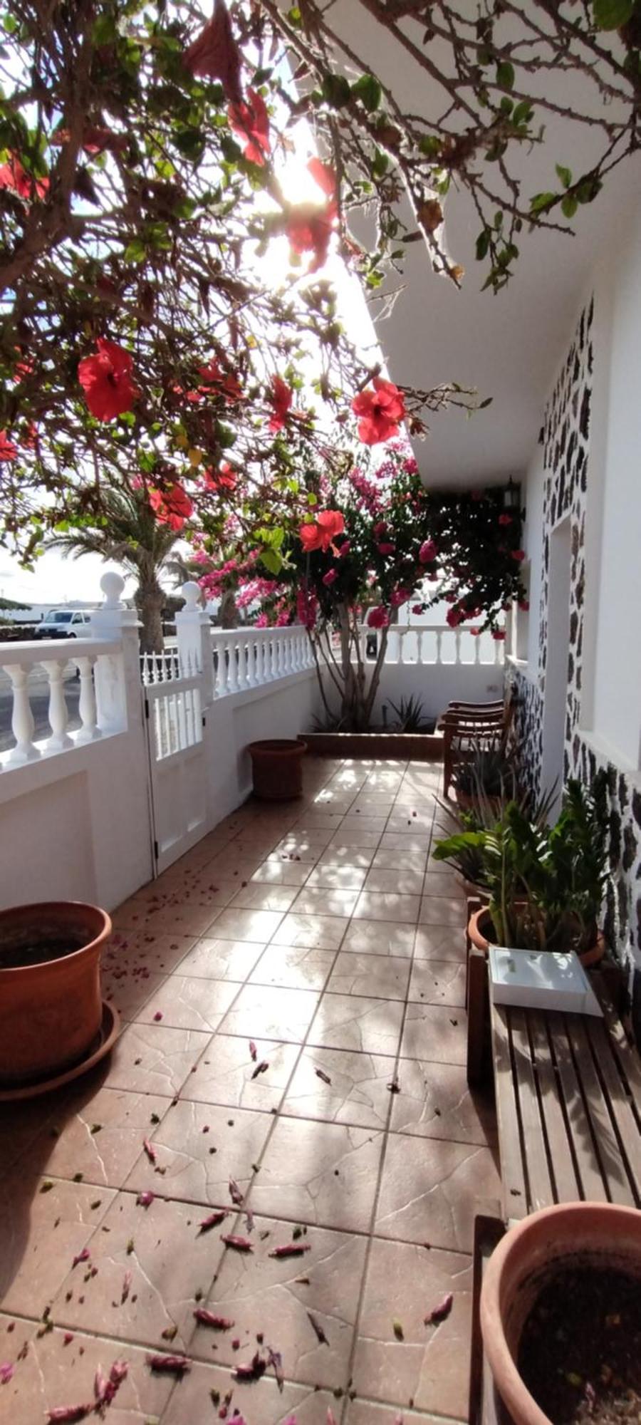 Casa M & A Villa La Oliva Eksteriør billede